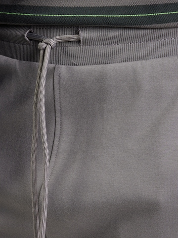 Loosefit Pantalon LERROS en gris