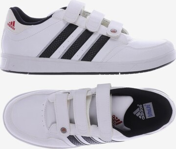 ADIDAS PERFORMANCE Sneakers & Trainers in 39 in White: front
