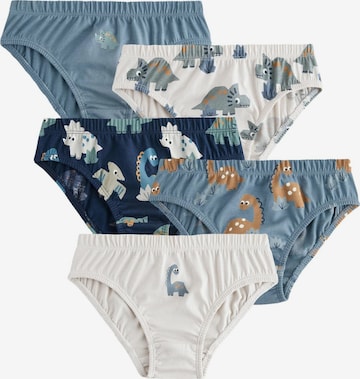 mėlyna Next Apatinės kelnaitės: priekis