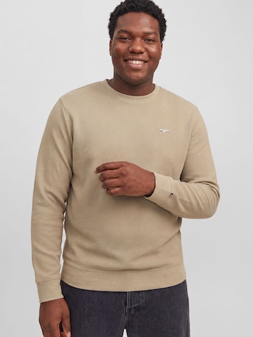 JACK & JONES Sweatshirt 'JPRBLUAlves' in Grijs