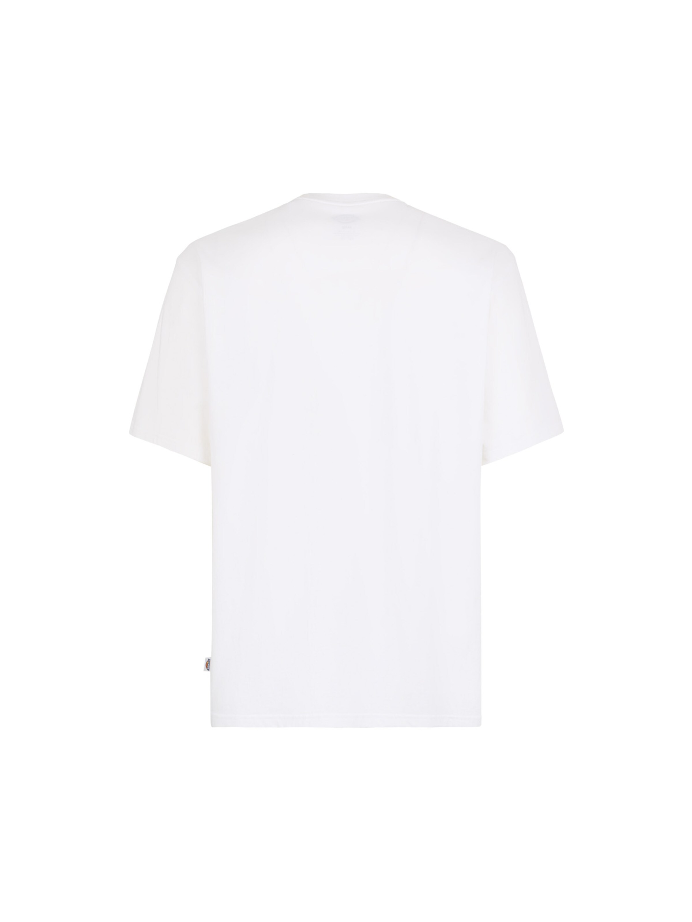 DICKIES Shirt 'CLANCY ' in White