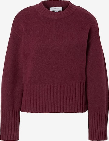 TOPSHOP Pullover 'DAISY' in Rot: Vorderseite