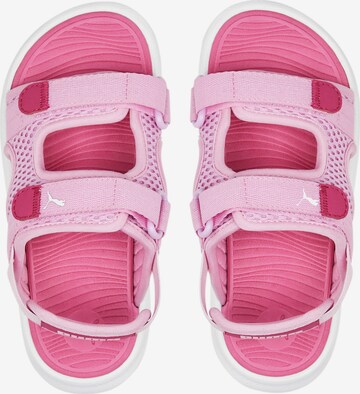 PUMA Beach & Pool Shoes 'Evolve' in Pink
