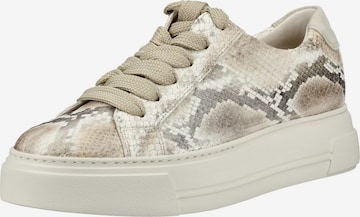 Baskets basses Paul Green en beige : devant