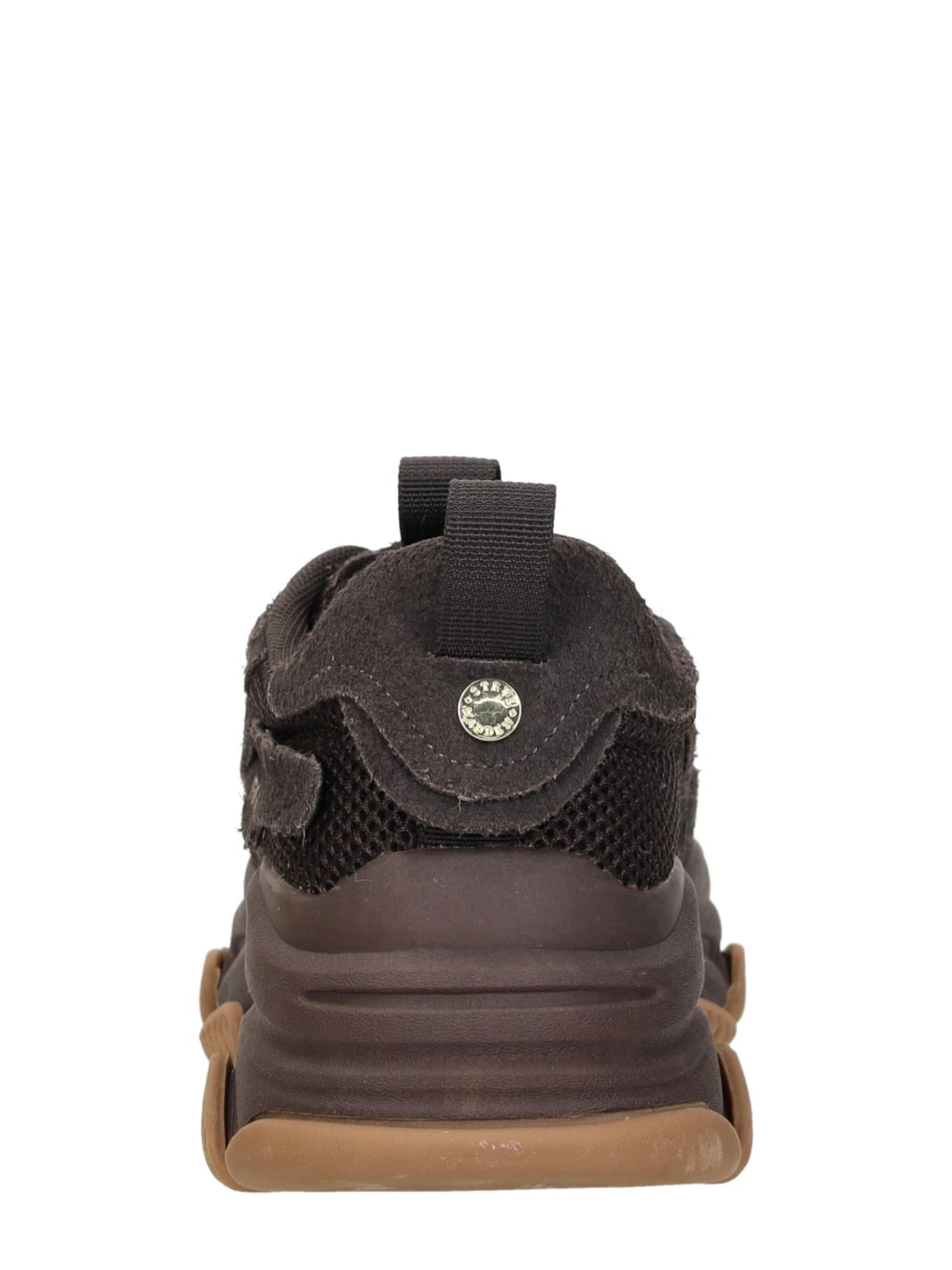 STEVE MADDEN Sneakers laag 'Possession-E' in Bruin