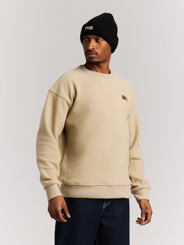 PROTEST Pullover 'PRTHawks'‌‌‌‌‌‌‌‌ in Braun