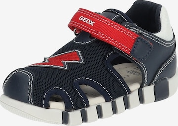GEOX Sandals & Slippers in Blue: front