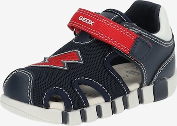 Chaussures ouvertes GEOX en bleu : devant