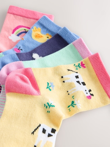 Next Socks in Blue