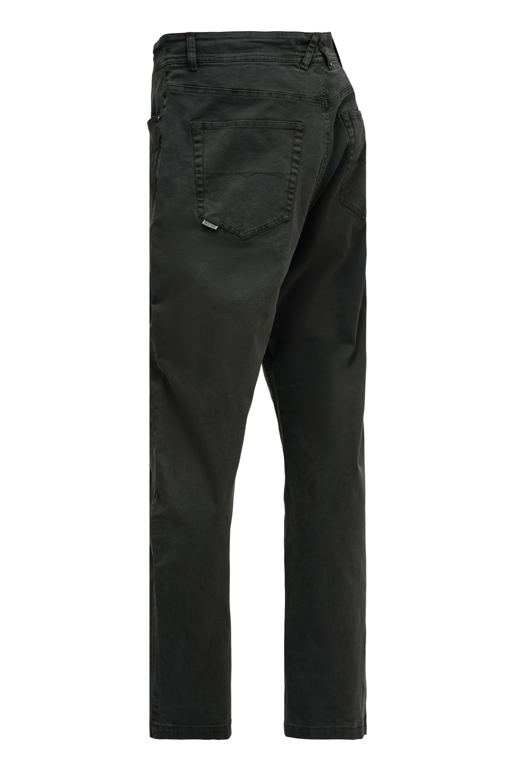 Salsa Jeans Regular Chino in Groen