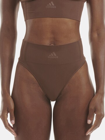 ADIDAS SPORTSWEAR Thong ' THONG ' in Brown: front