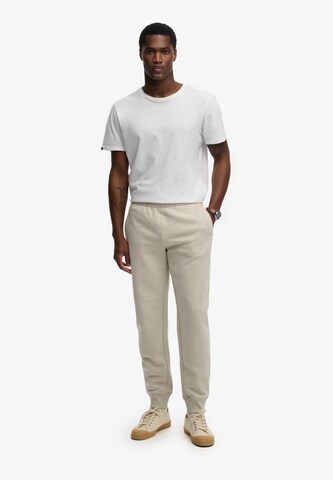Superdry & Co Regular Pants in Beige
