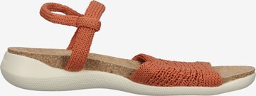 Arcopedico Strap Sandals in Red