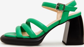 CESARE GASPARI Strap Sandals in Green: front