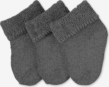 Chaussettes STERNTALER en gris : devant