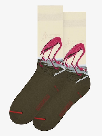 MuseARTa Socks 'John James Audubon - Amerikanischer Flamingo' in Beige: front