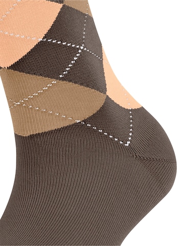 FALKE Socks 'Sensitive Argyle' in Brown