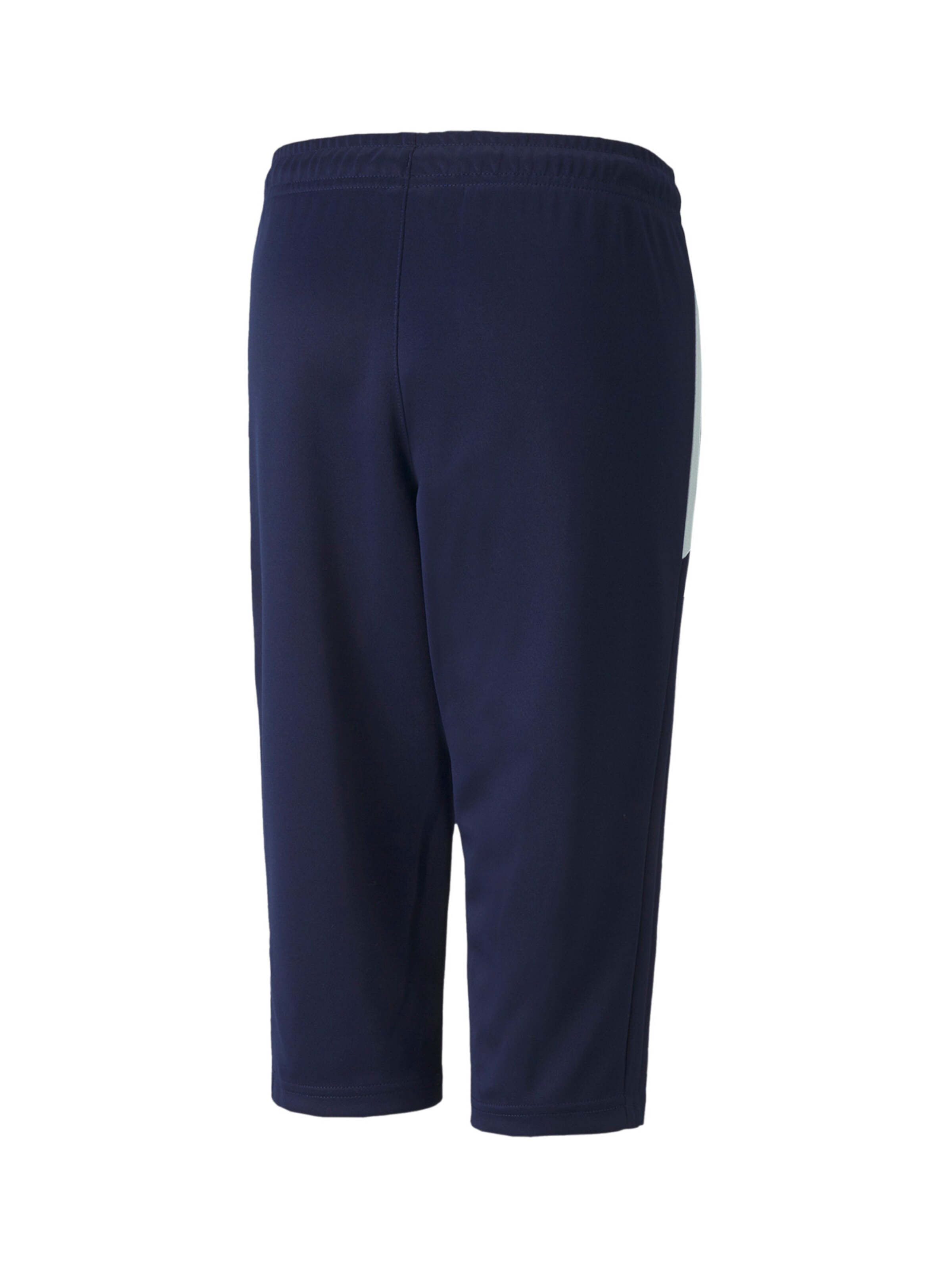 PUMA Regular Sporthose in Blau