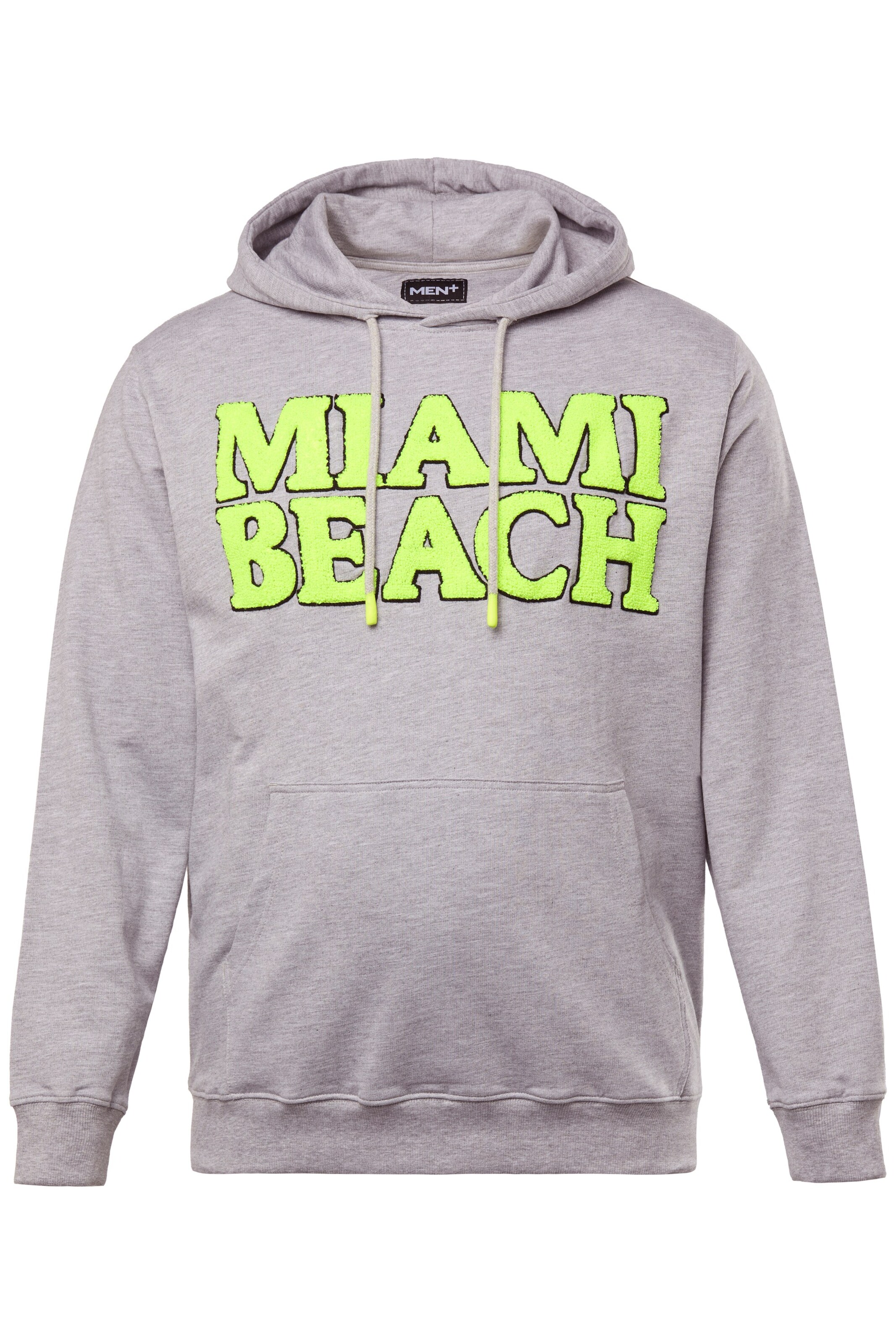 Men Plus Sweatshirt in Grey: front