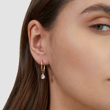 s.Oliver Ohrringe in Gold