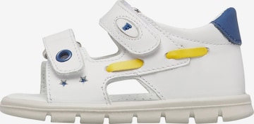Falcotto Open schoenen 'PLIRO' in Wit: voorkant