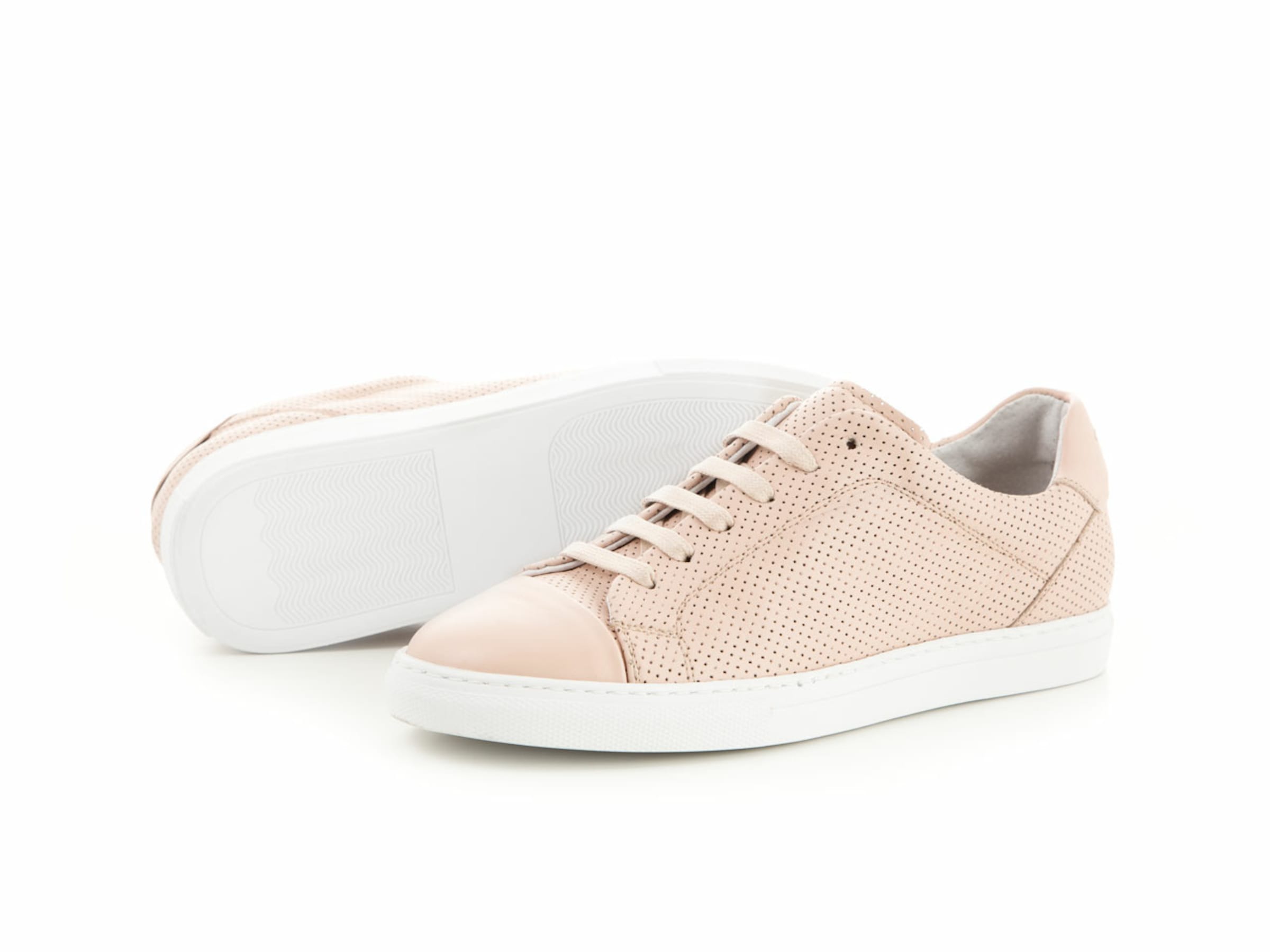 Camino71 Sneaker in Pink