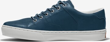 Baskets basses TIMBERLAND en bleu