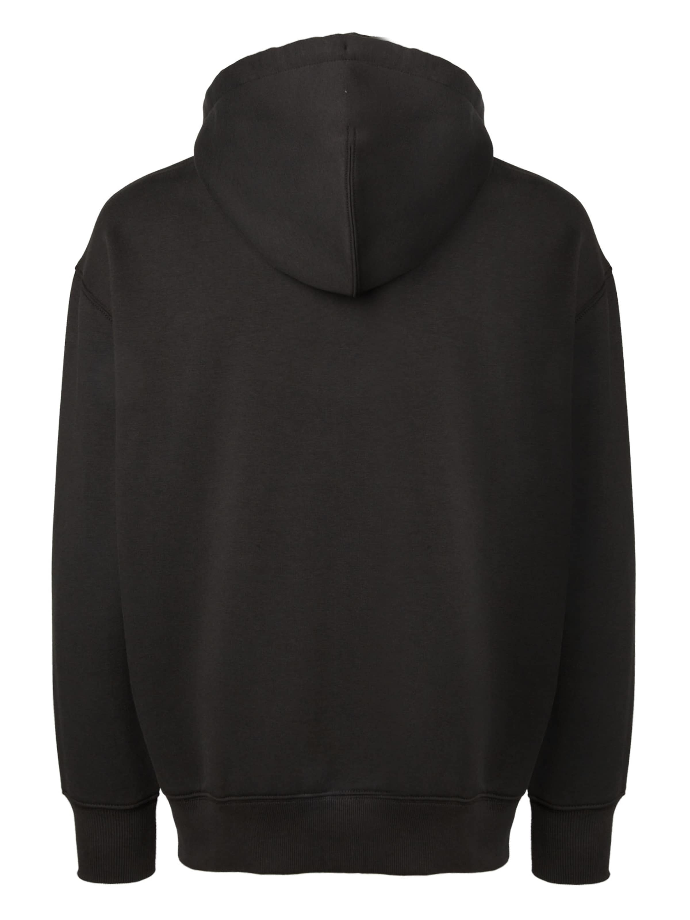 DICKIES Свитшот 'SUMMERDALE' в Черный