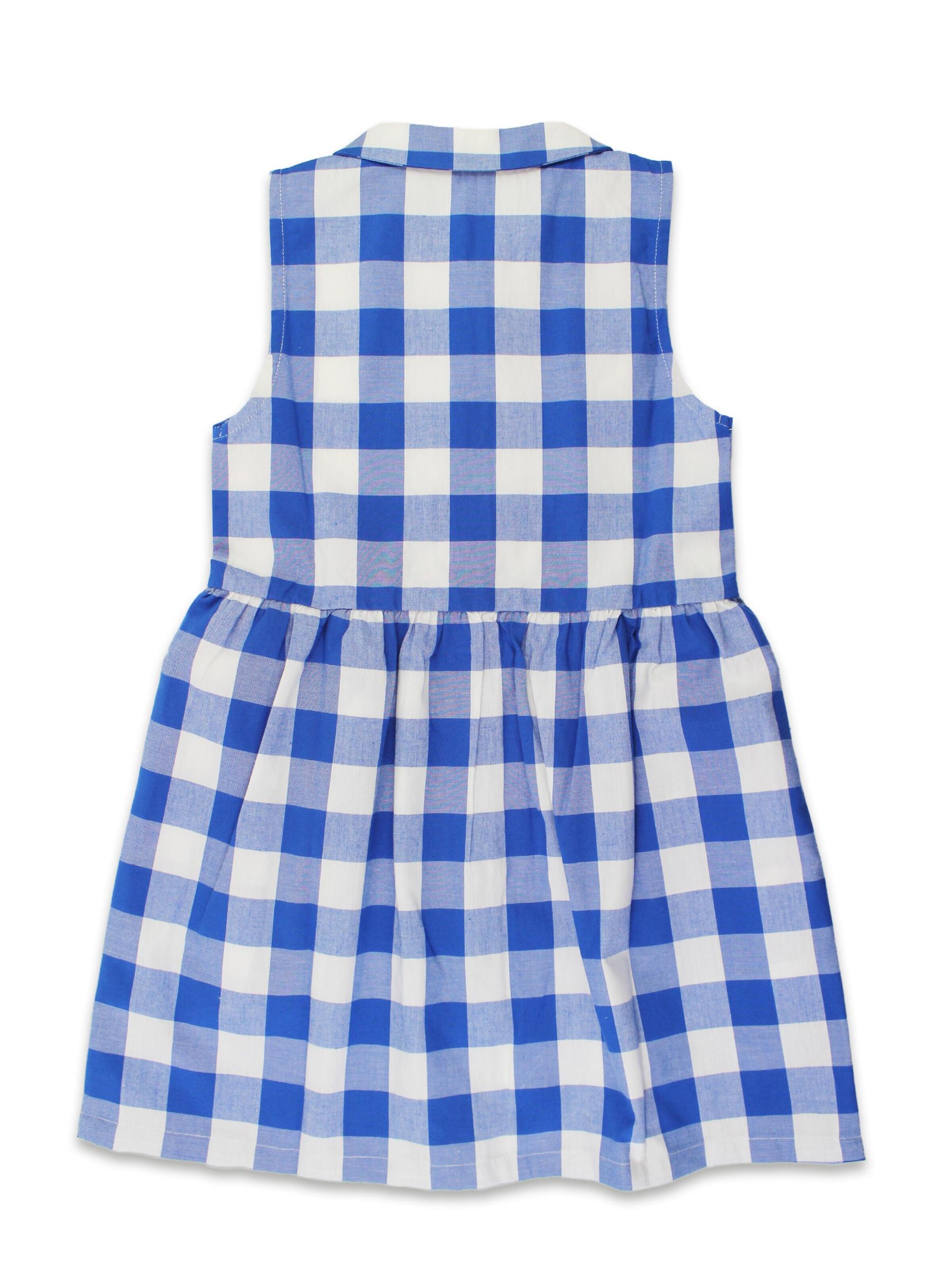 Toby Tiger Dress in Blue