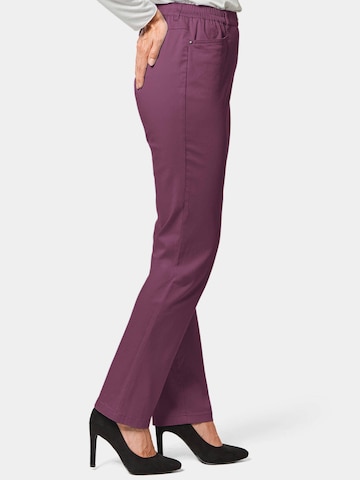 Goldner Regular Trousers in Purple
