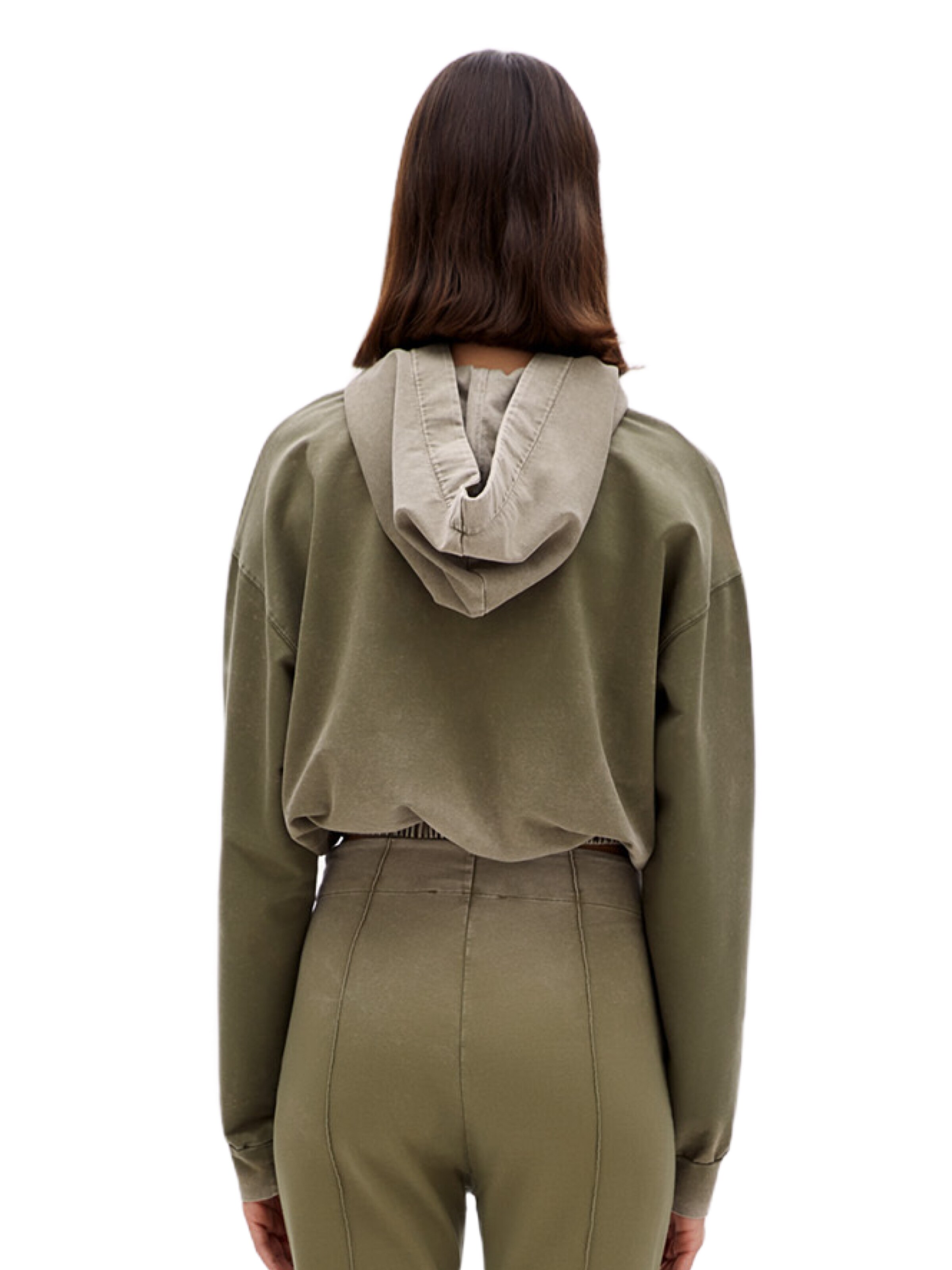 PCFG Sweatshirt in Green