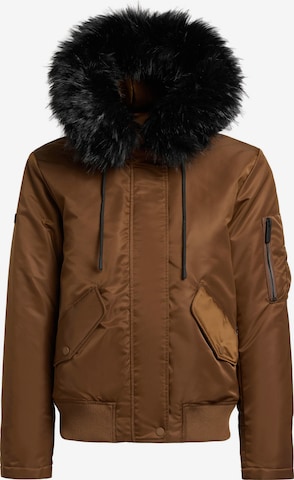 ruda khujo Žieminė striukė 'TYLA': priekis