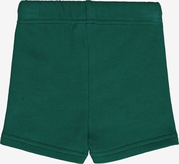 Regular Pantalon '' Fred's World by GREEN COTTON en vert