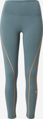 Champion Authentic Athletic Apparel Skinny Športne hlače | siva barva: sprednja stran