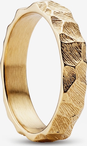 Sidegren Ring 'New Classics' in Gold: front
