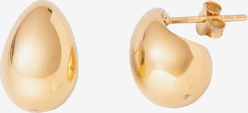 fejn Ohrstecker in Gold: Vorderseite