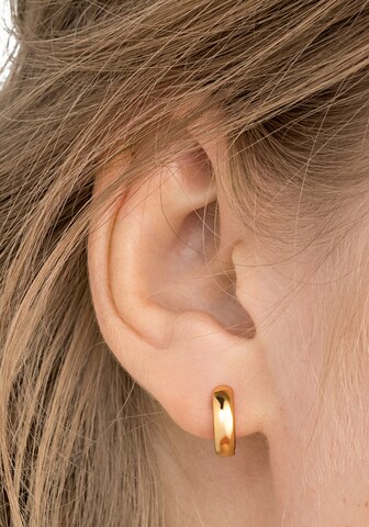 NOELANI Earrings in Gold: front