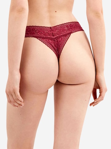 Gisela - Tanga en negro