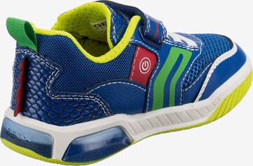 GEOX Sneaker 'Inek' in Blau