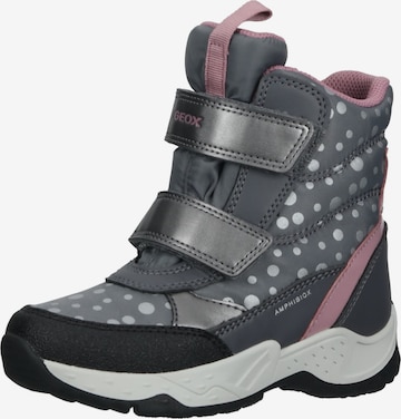 GEOX Boots in Grey: front