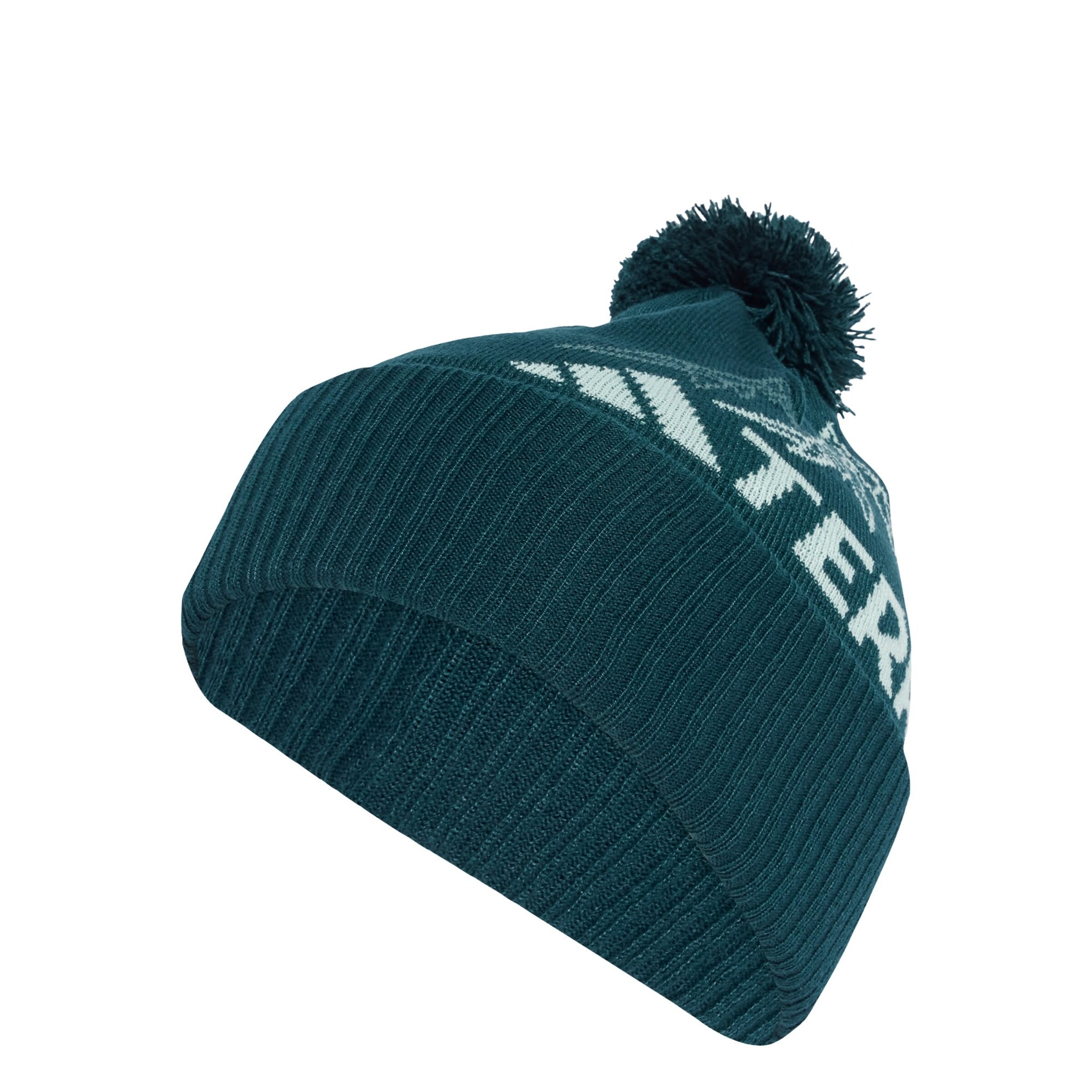 ADIDAS TERREX - Gorro deportivo 'Xploric' en verde: frente