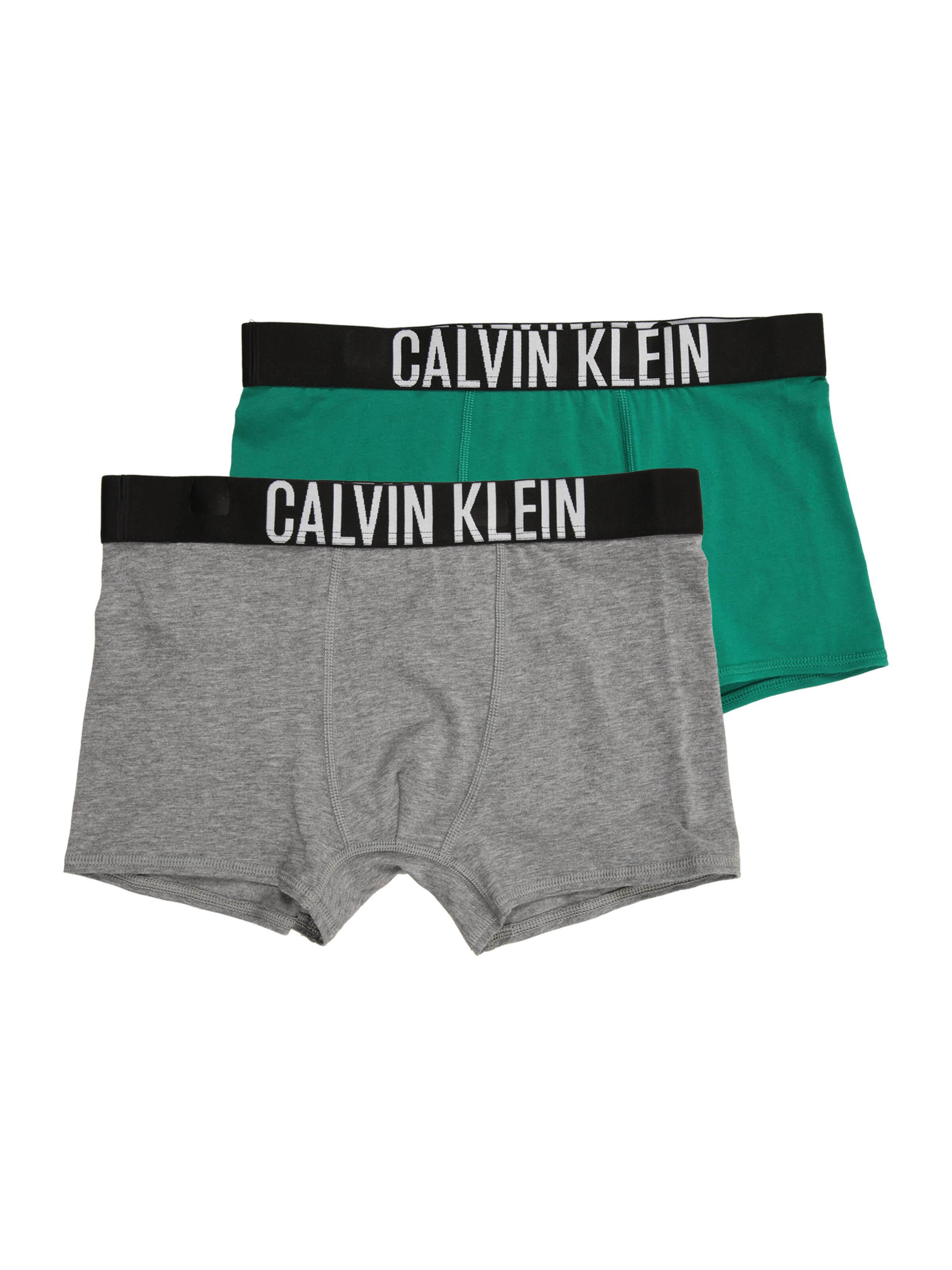Calvin Klein Underwear Underpants in Grey