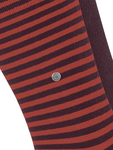 BURLINGTON Socks 'Everyday Stripe 2-Pack' in Purple