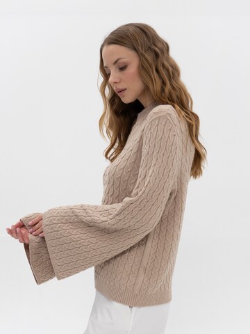 Passioni Pullover‌‌‌‌‌‌‌ in Grau