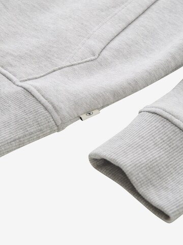 TOM TAILOR Sweatshirt in Grau