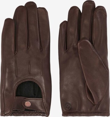 Kazar Full Finger Gloves in Brown