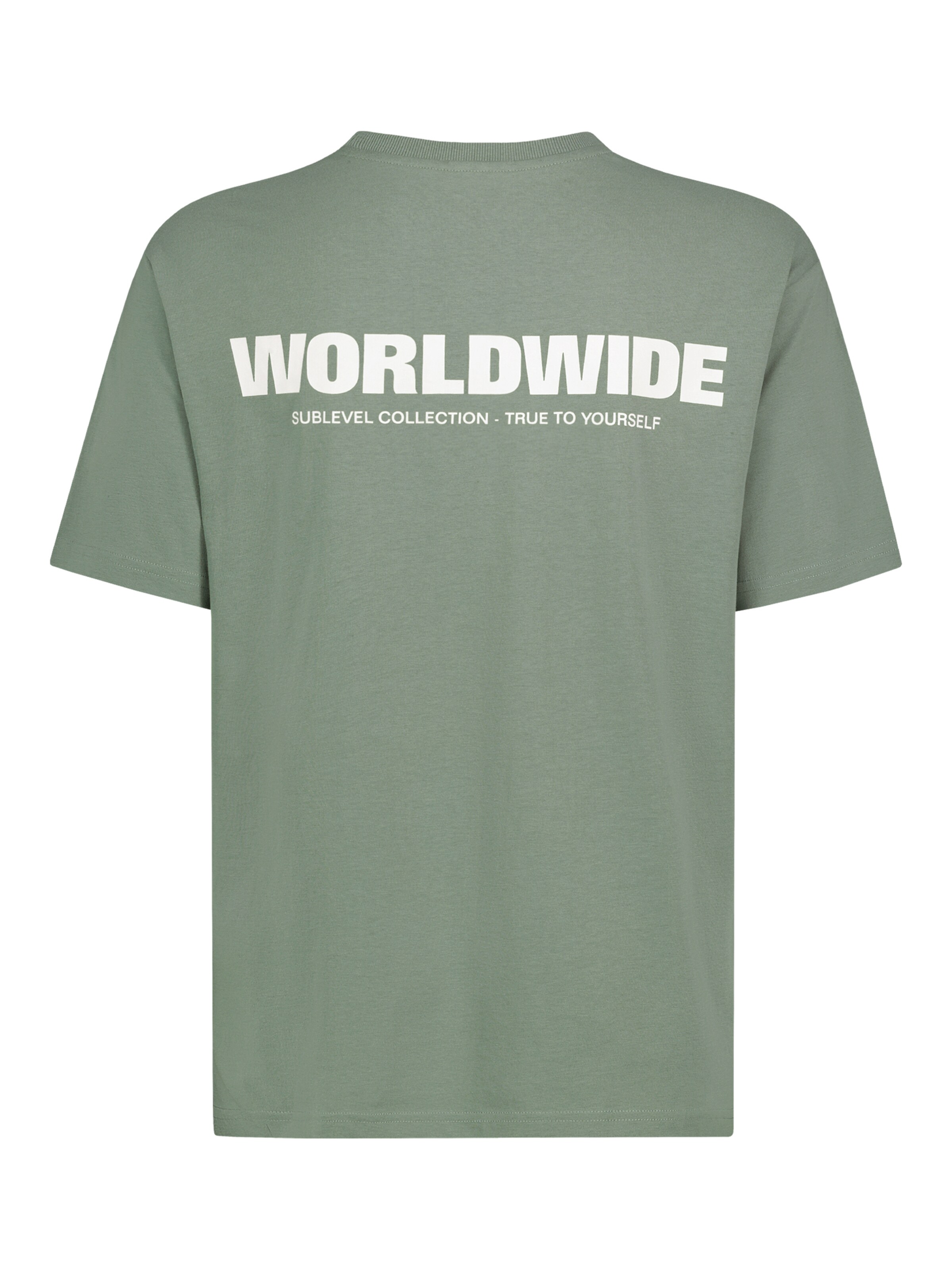 Sublevel Shirt in Grün