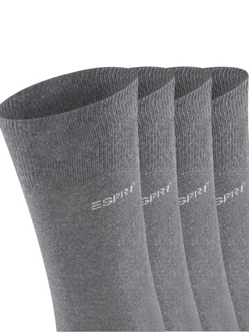 ESPRIT Socken 'Solid 4-Pack'‌‌‌‌‌‌‌‌‌ in Grau