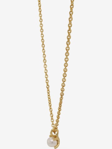 24Kae Necklace in Gold
