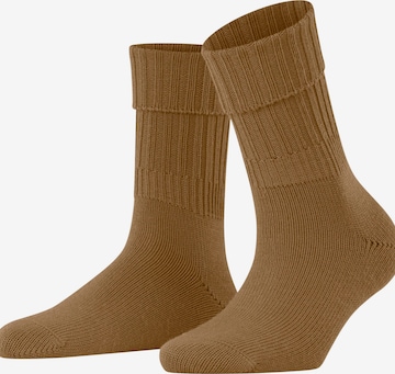FALKE Socken 'Striggings Rib' in Braun: Vorderseite
